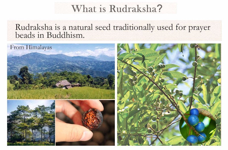 Buddhist Handcrafted Nature Sandalwood Bracelet for "Clear & Open Minded" (made with Mantra Ohm Amulet & Rudraksha Seeds)